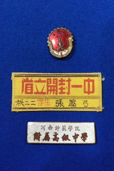 （16）十七之2：初中校标、高中校徽、劳卫制证章