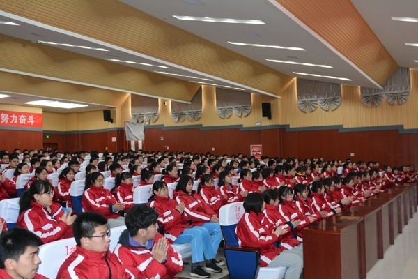 DSC_0556.jpg DSC_0556.jpg