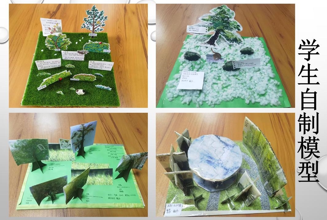 图片4.jpg 图片4.jpg