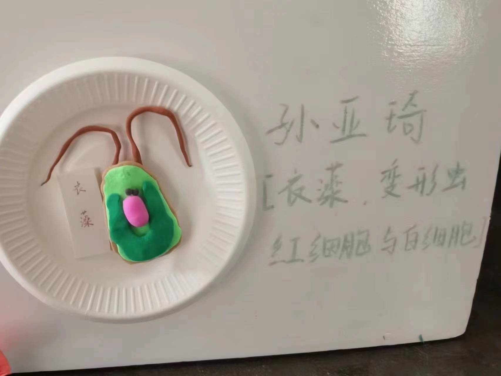 微信图片_202304092016261.jpg