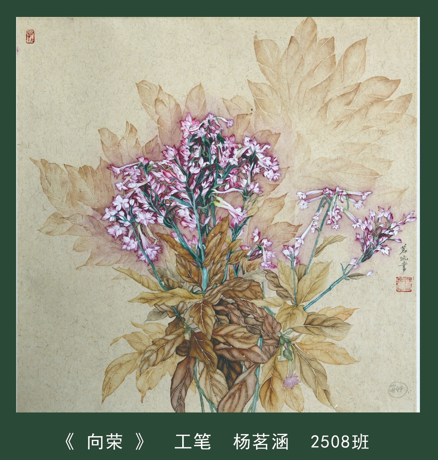 杨茗涵.jpg