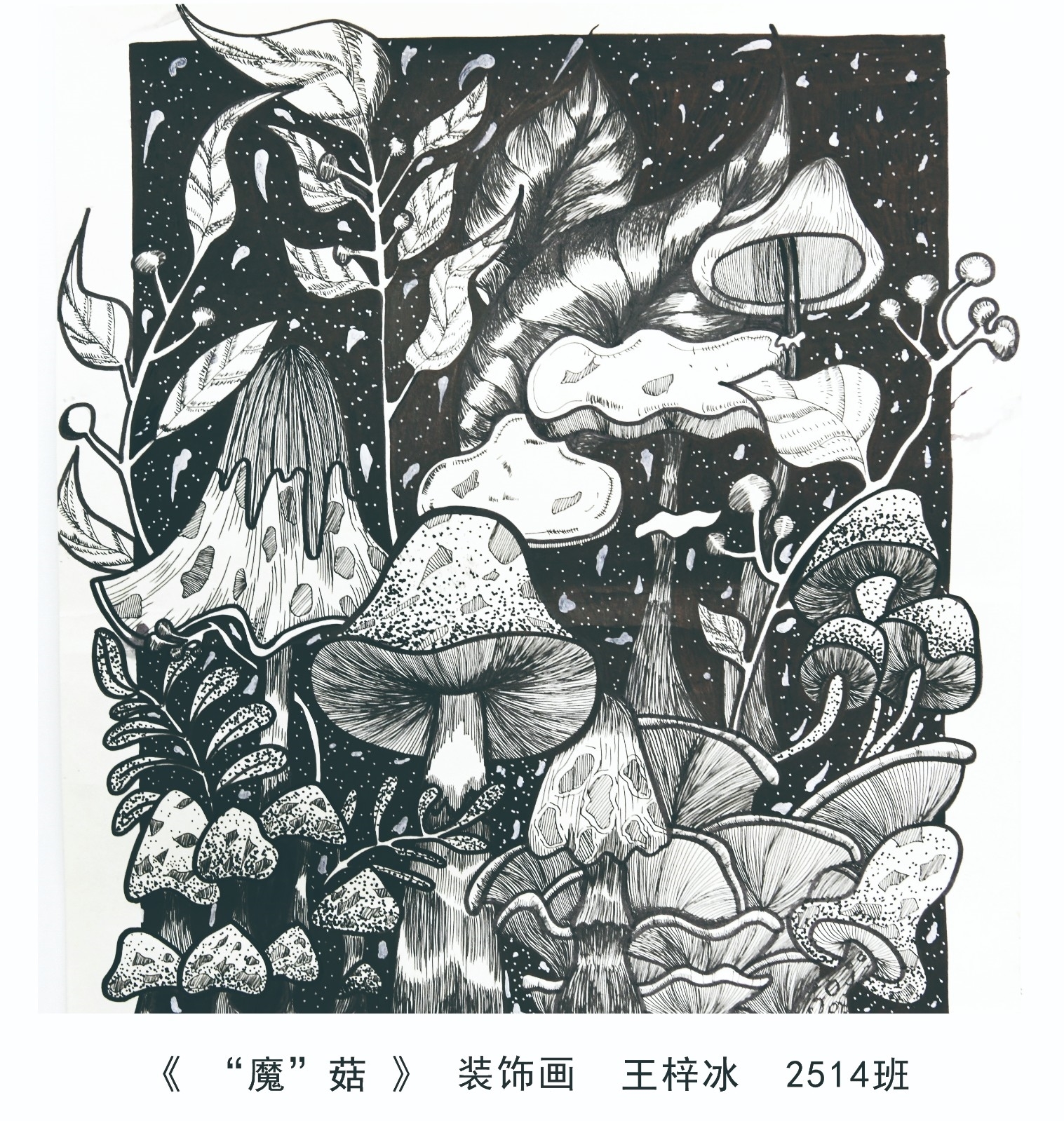 王梓冰1.jpg