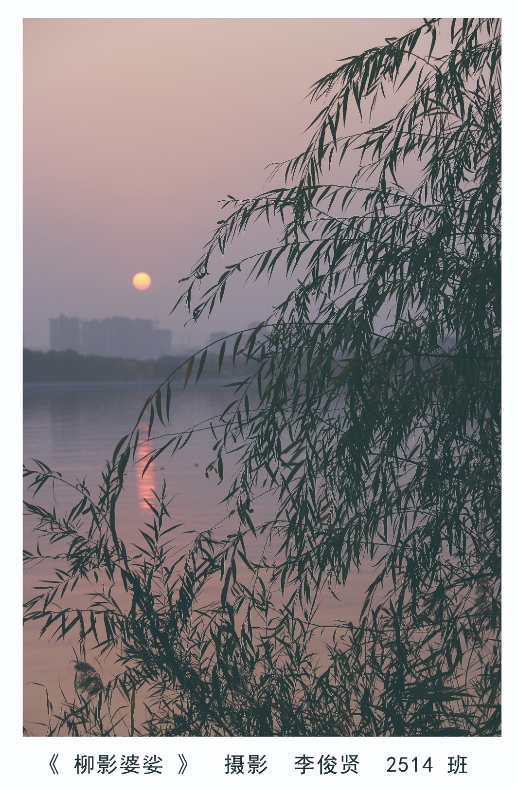 李俊贤1.jpg