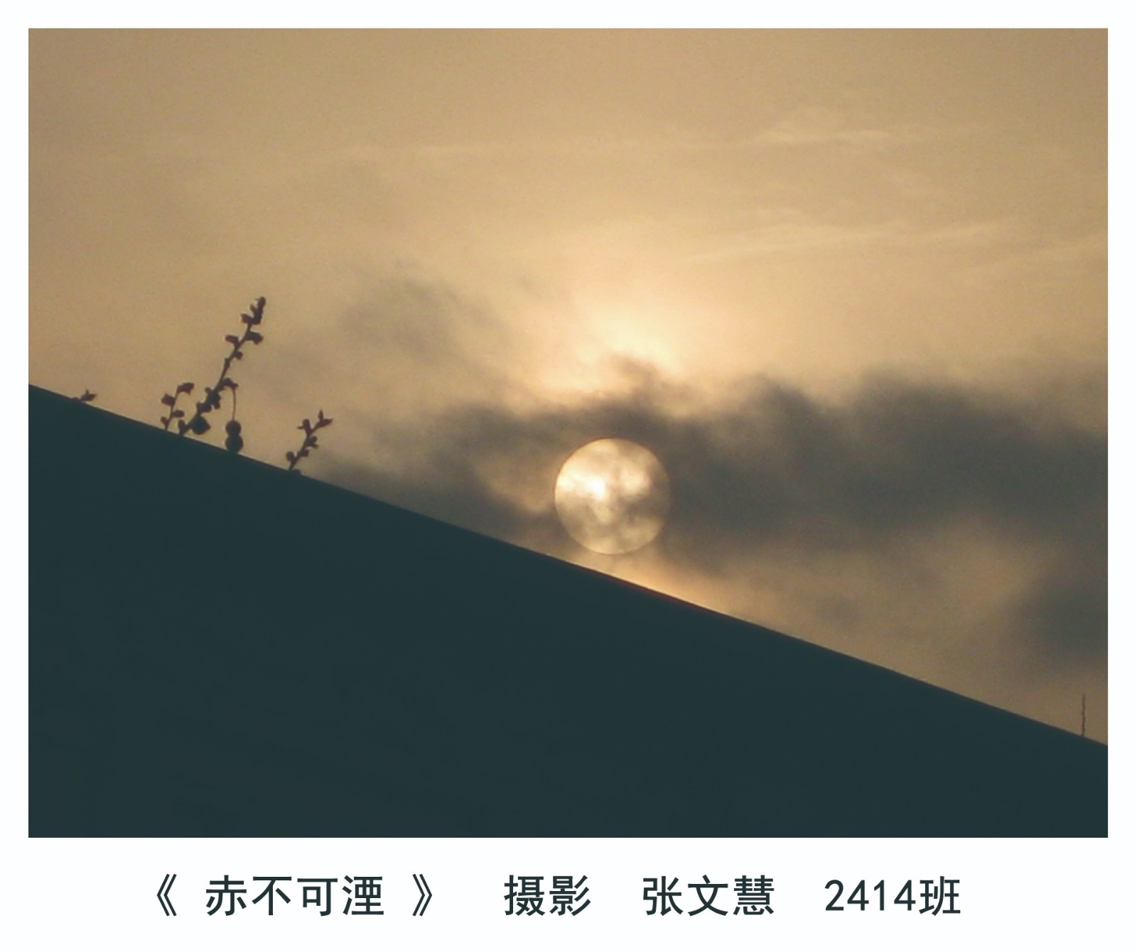 张文慧4.jpg