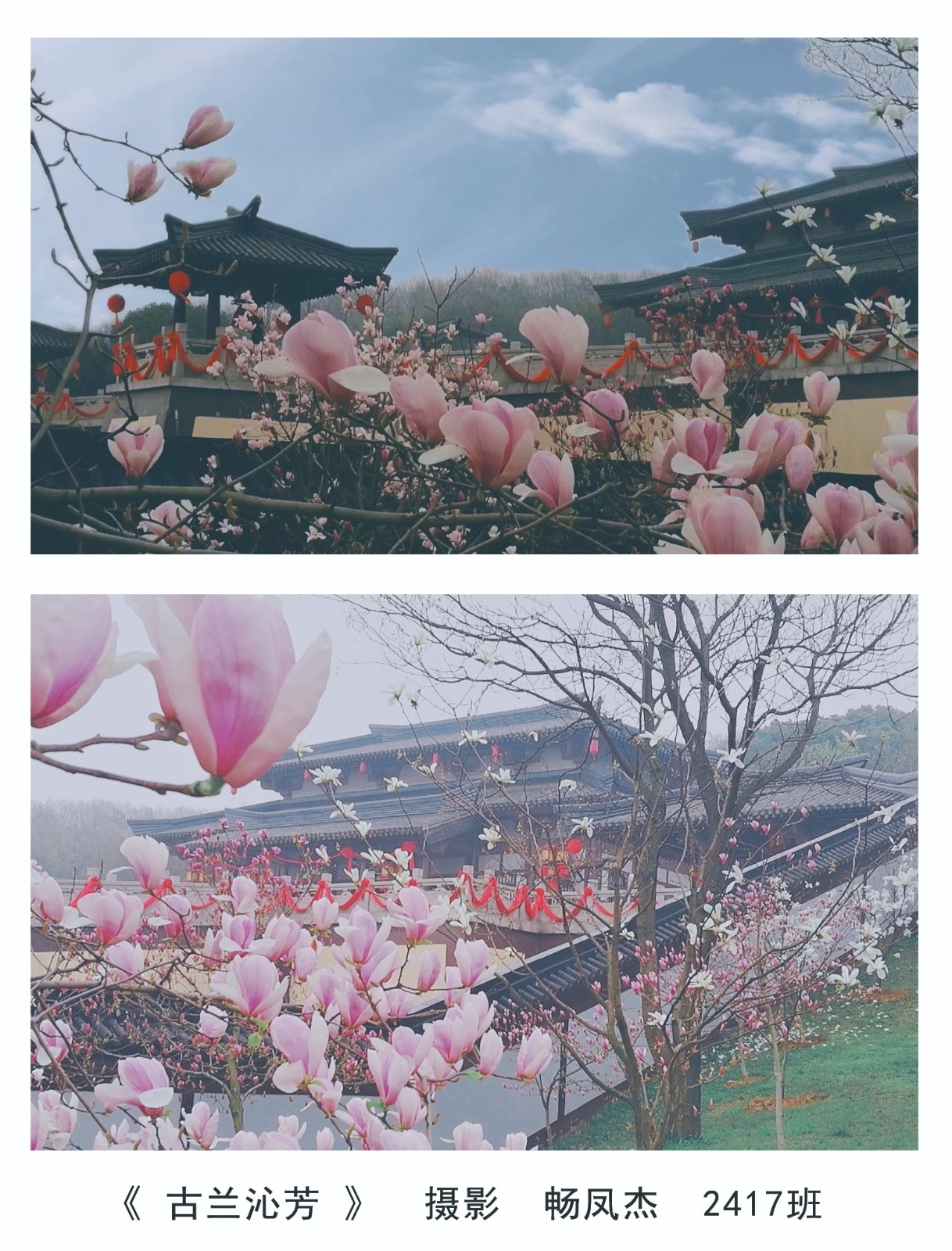 畅凤杰3.jpg