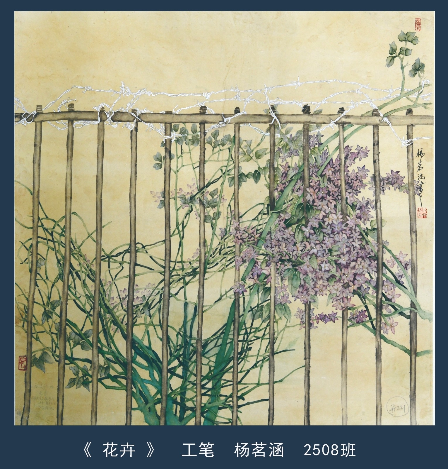 杨茗涵1.jpg
