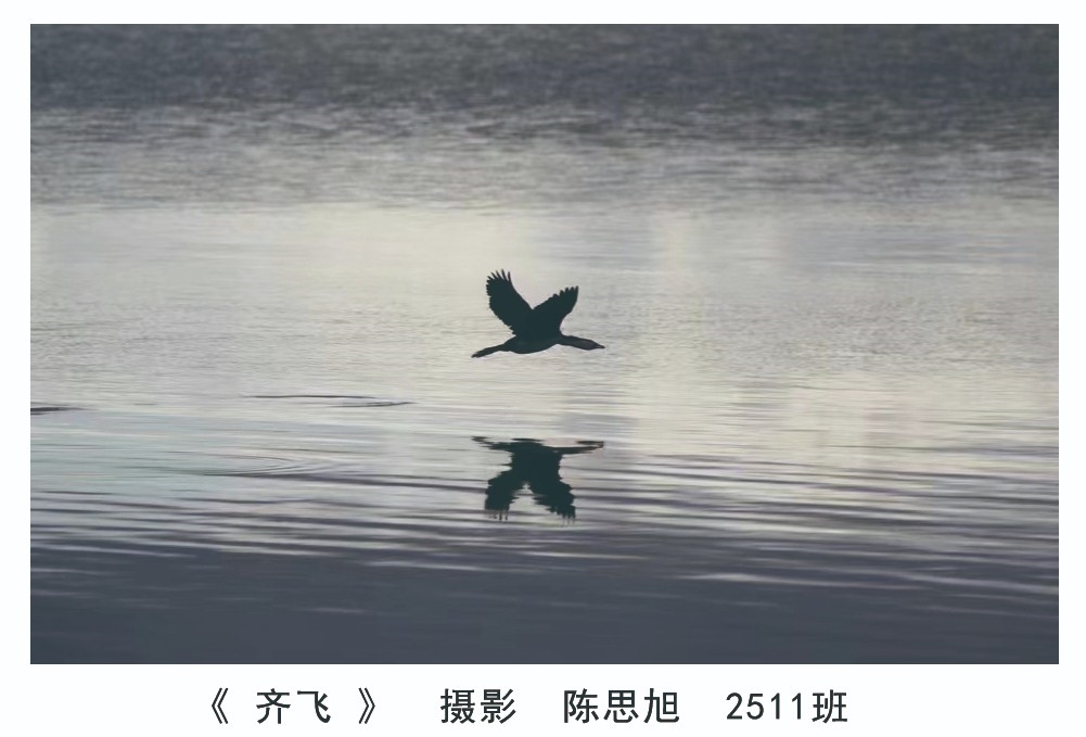 陈思旭3.jpg