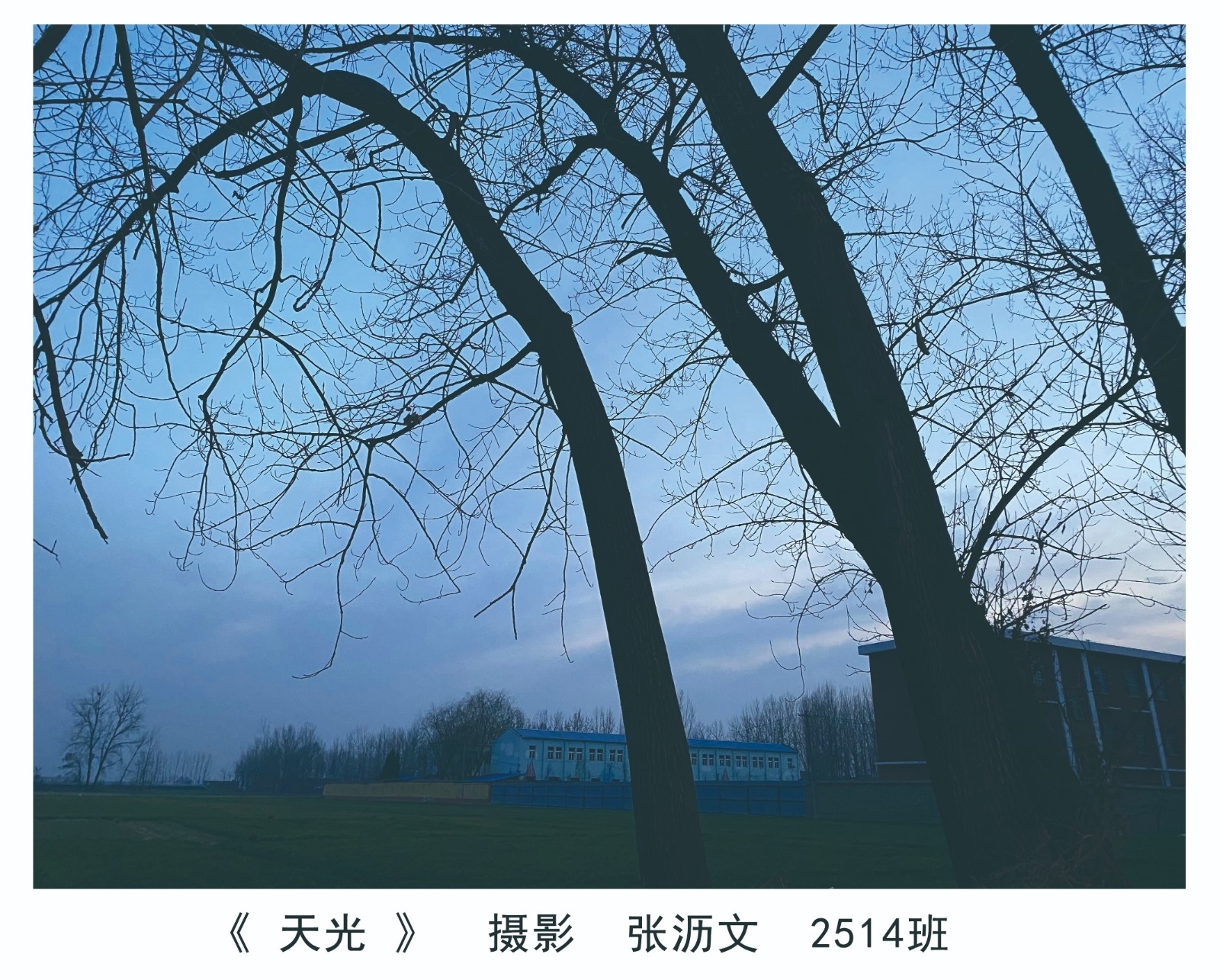 张沥文4.jpg