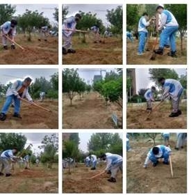 966c8bc7078c0f936afd34705a0fcb1