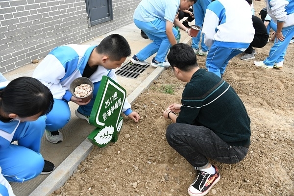 3去年秋播 (1).jpg
