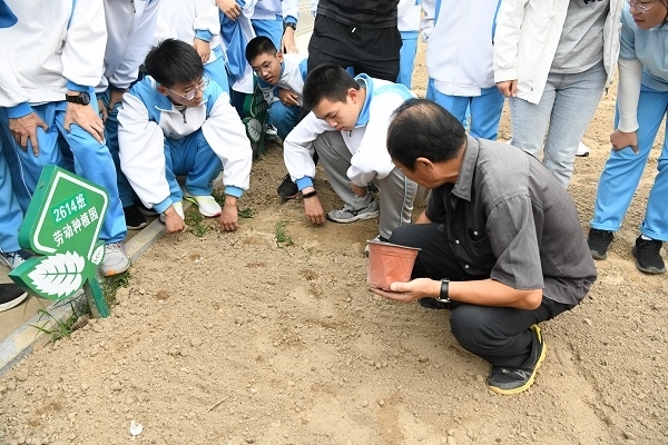 3去年秋播 (2).JPG
