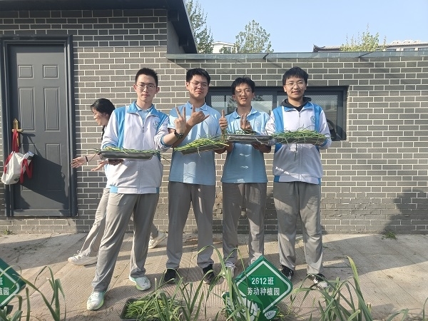 4今春收获 (2).jpg