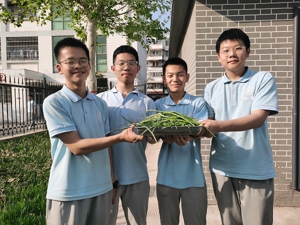 4今春收获 (3).jpg