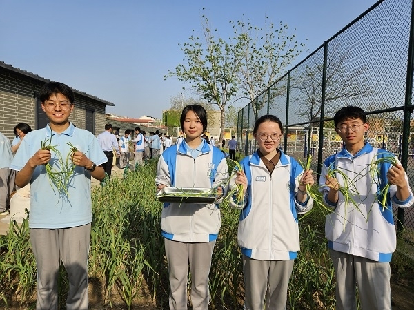 4今春收获 (4).jpg