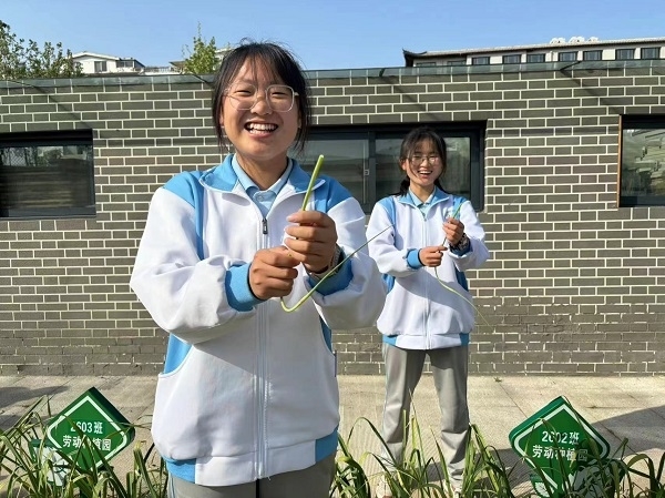 4今春收获 (5).jpg