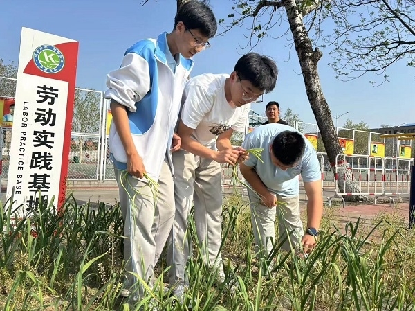 4今春收获 (6).jpg