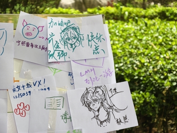 画画活动2.jpg